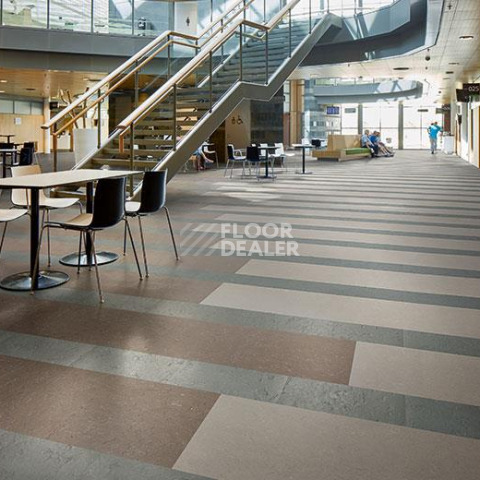Forbo Marmoleum Modular te3745 Cornish grey фото 2 | FLOORDEALER
